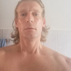 Quarky Vorschaubild
